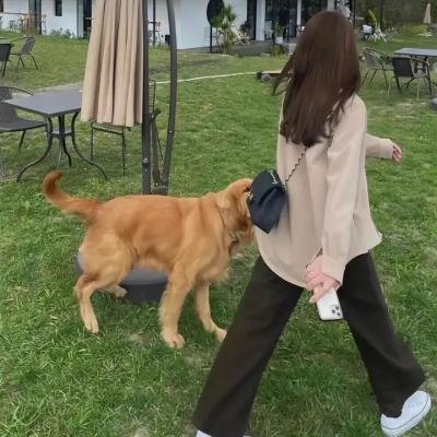 命运